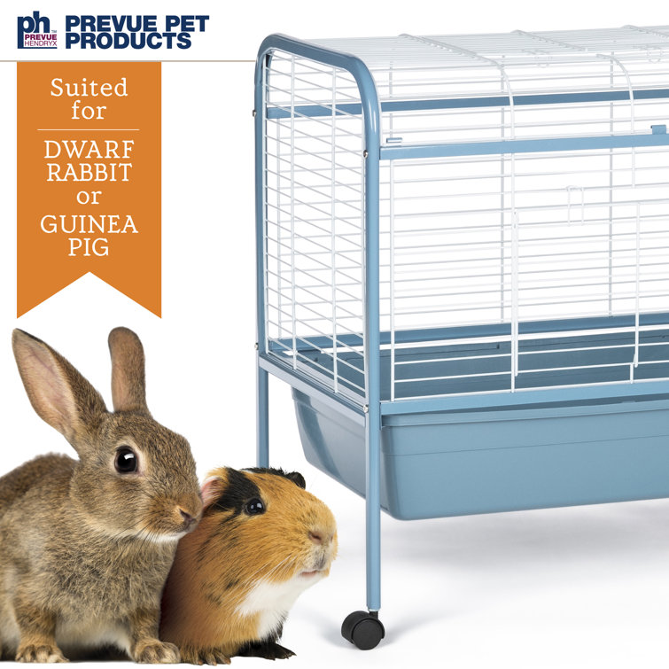 Prevue guinea hotsell pig cage